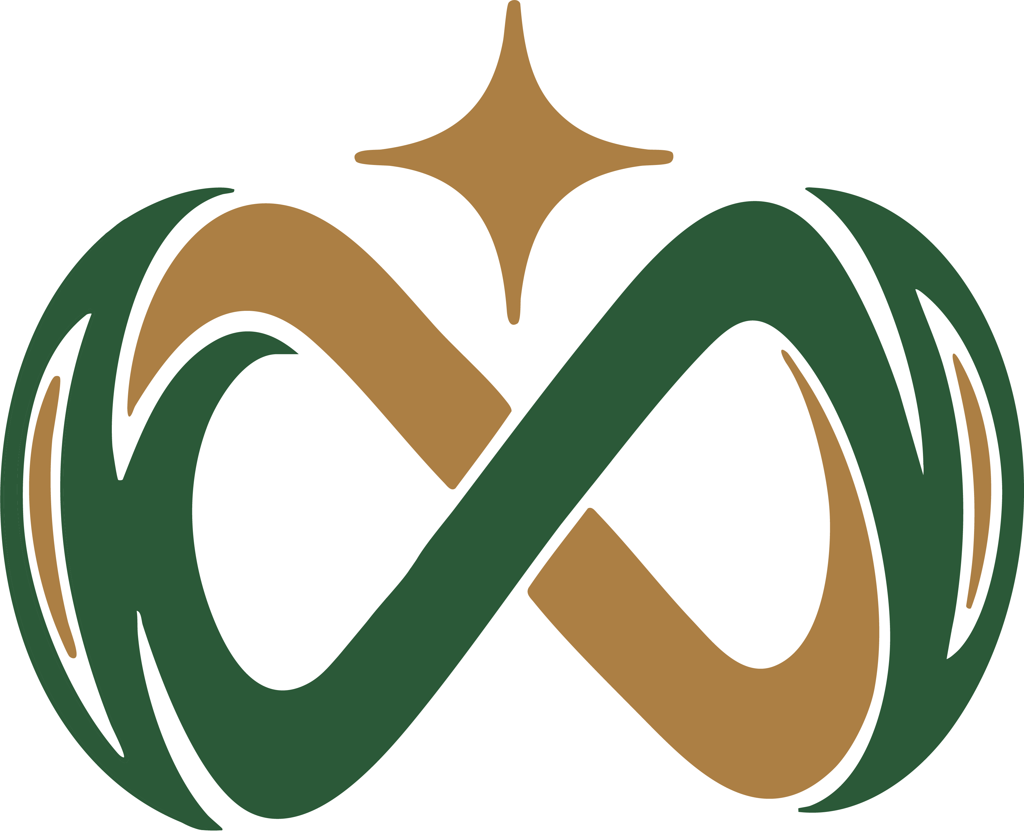 STARZUS Logo